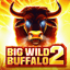 Big Wild Buffalo 2